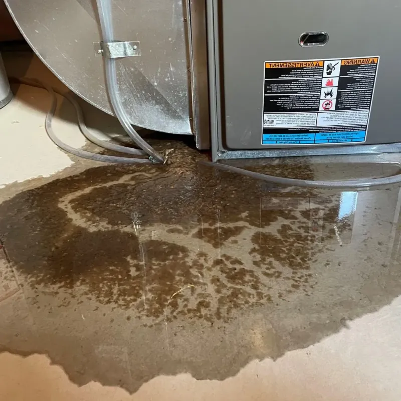 Pipe Burst and Leak Restoration in Valley Falls, KS