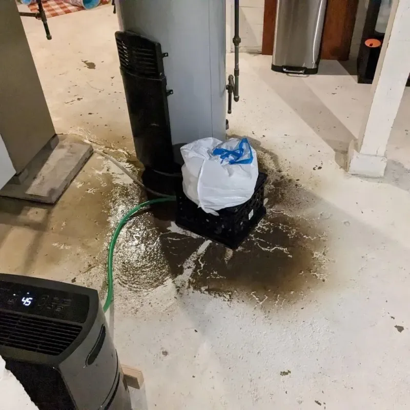 Sewage Backup Cleanup Service in Valley Falls, KS
